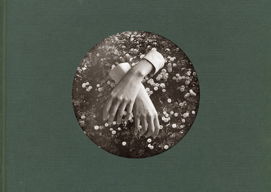 Aspidistrafly - homeward waltz