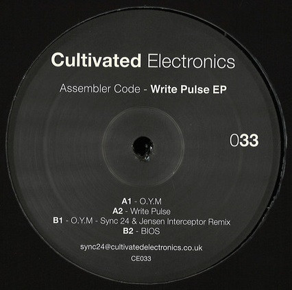 Assembler Code - Simulant