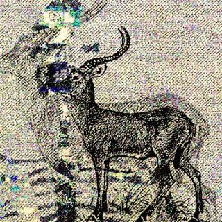 Astral & Shit - diazepam