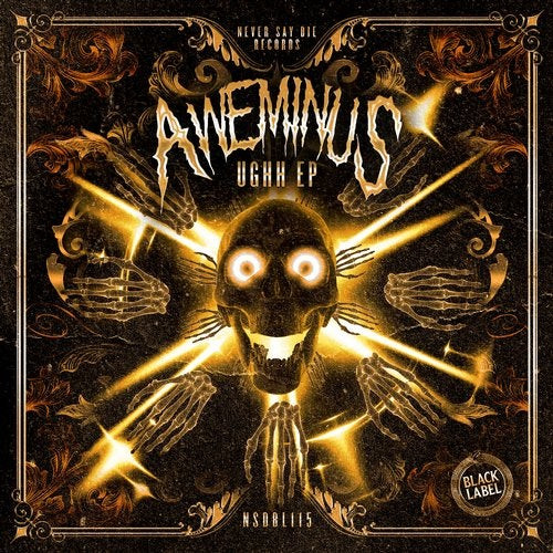 Aweminus - Riddim 4 Dummies