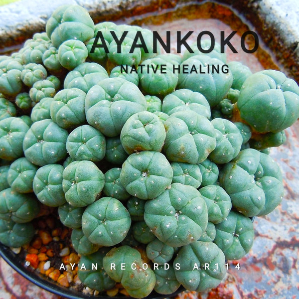 Ayankoko - Kia Sao