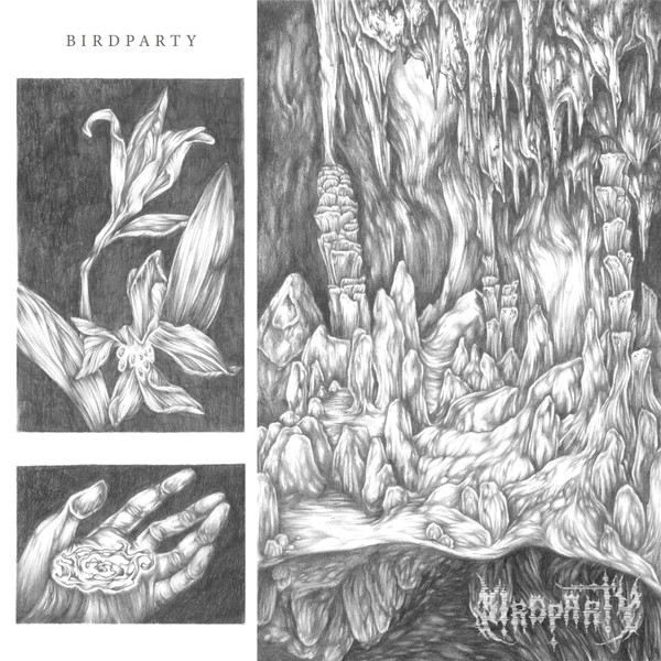 BIRDPARTY - Motion Safety