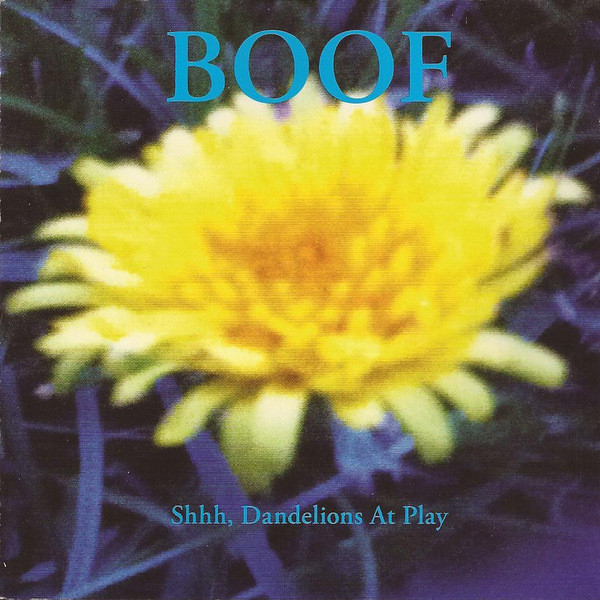 BOOF - Birgit Boogie
