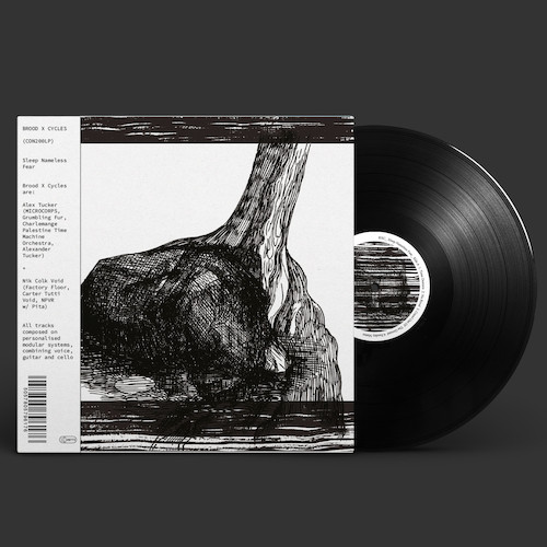 BROOD X CYCLES - Sunday Matter