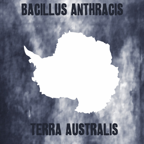 Bacillus anthracis - Regressus