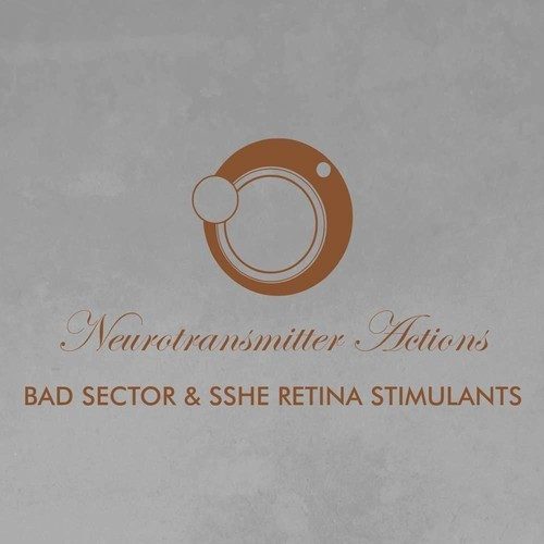 Bad Sector & Sshe Retina Stimulants - Spikes Oscillation