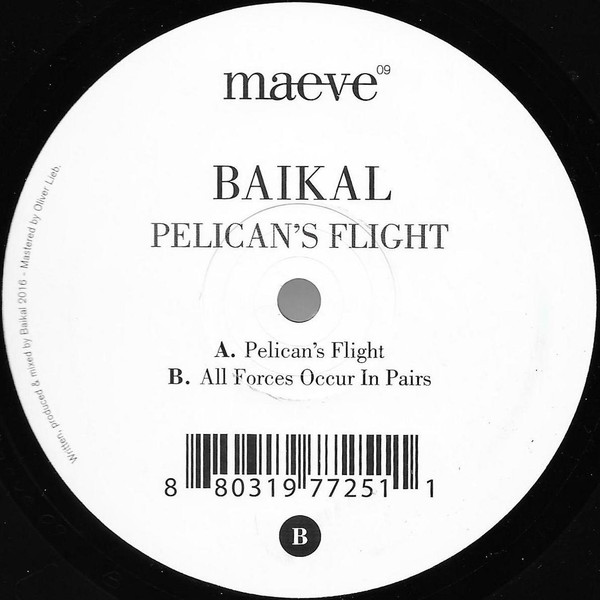 Baikal - Pelican's Flight