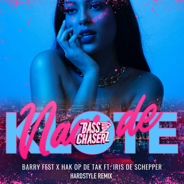 Barry Fest - Ferry de Roze Flamingo