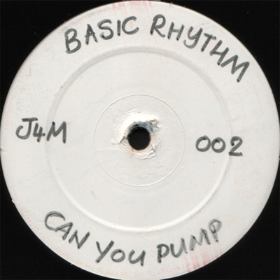 Basic Rhythm - Palace Of The Peacock