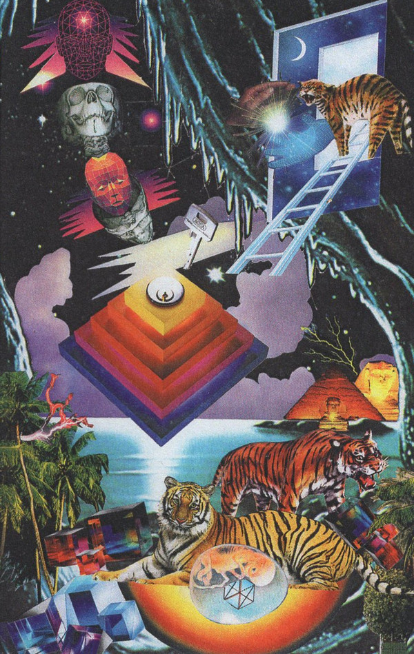 Bataille Solaire - Mangrove