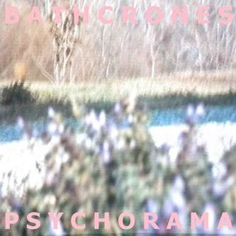 Bathcrones - False Teeth