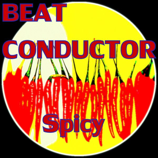 Beatconductor - I Cant Go For That