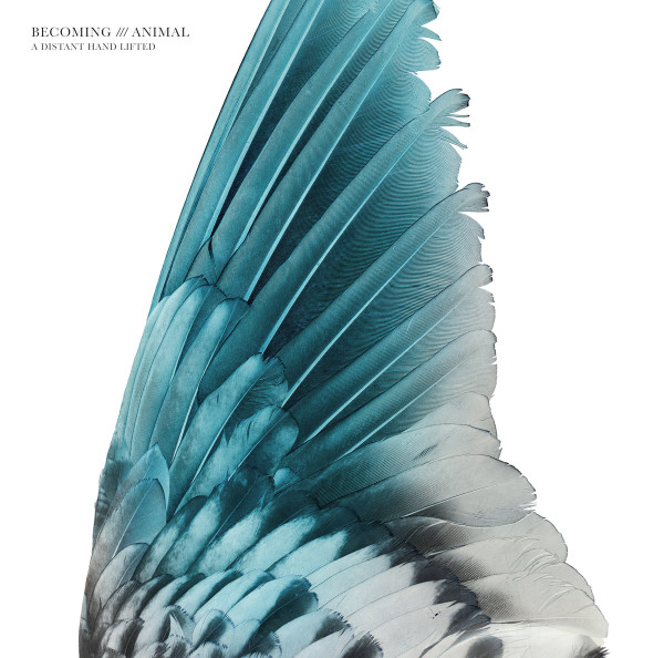 Becoming Animal - Doorway To The Sky