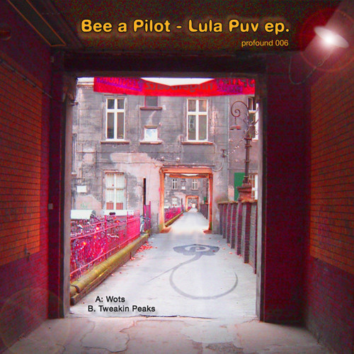 Bee a Pilot - Wots