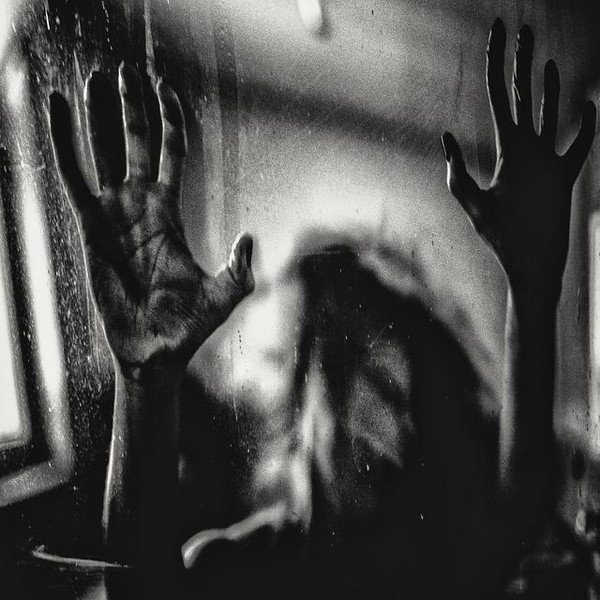 Behind the Shadow Drops - Sonata