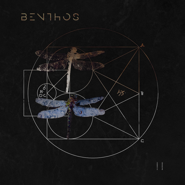 Benthos - From Nothing