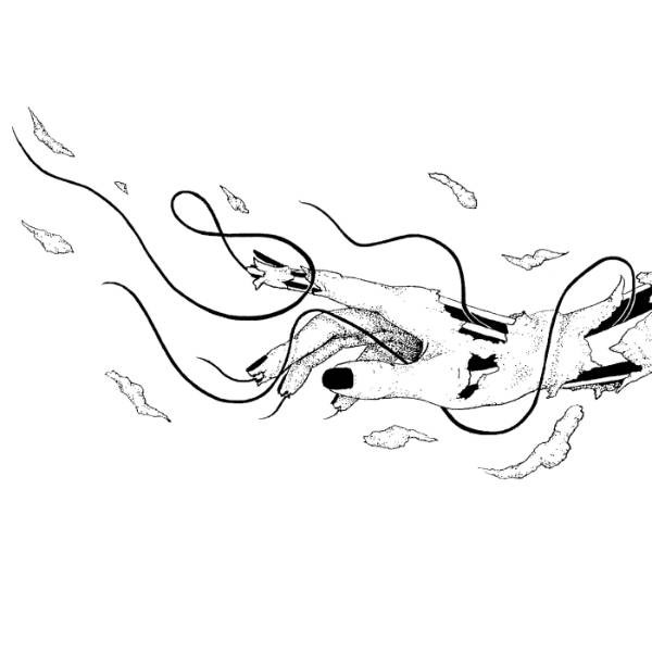 Beta Librae - Skyla