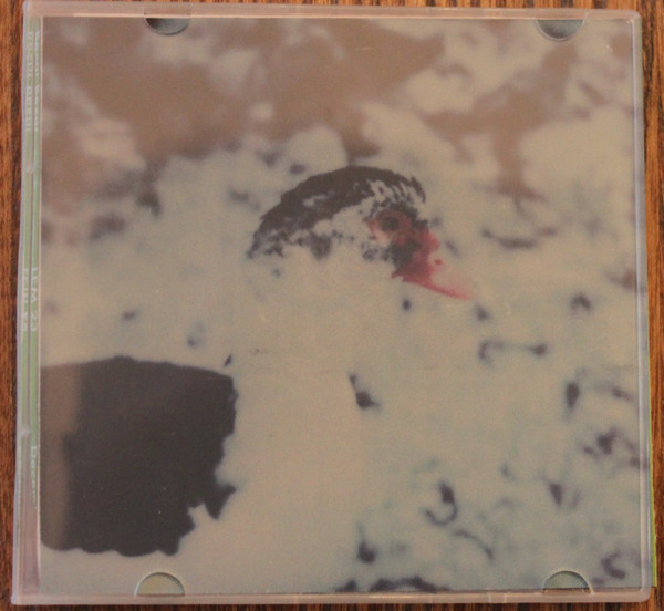 Bexar Bexar - Oil Thumbprints
