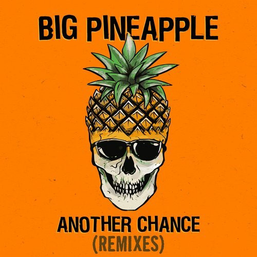 Big Pineapple - Another Chance - Don Diablo Chill Mix