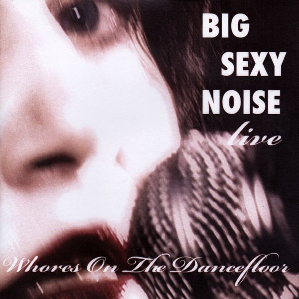 Big Sexy Noise - Kill Your Sons