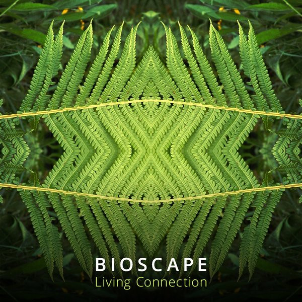 Bioscape - Shaolin Cosmos