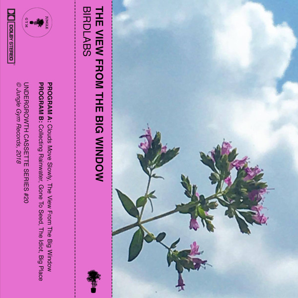 Birdlabs - A1. Clouds Move Slowly