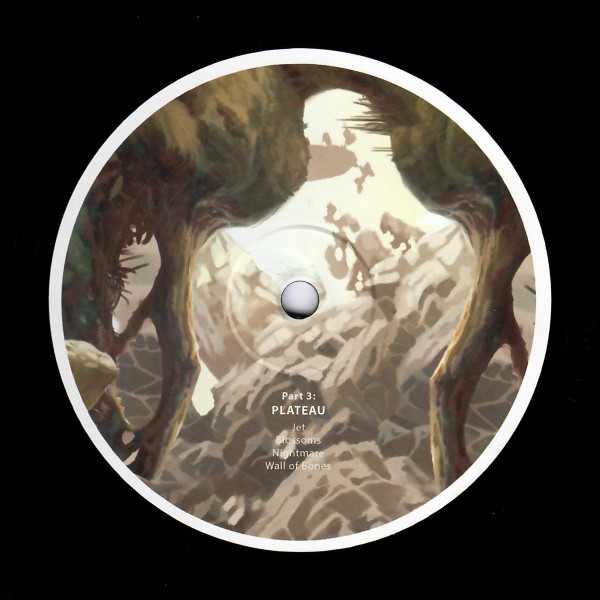 Birds Ov Paradise - Time Walk