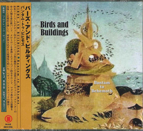 Birds and Buildings - Battalion