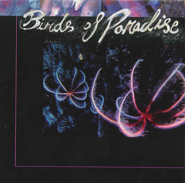 Birds of Paradise - Riding The Froth