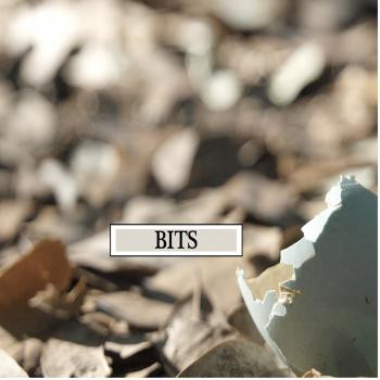 Bits - Deep Sleep Brown Noise