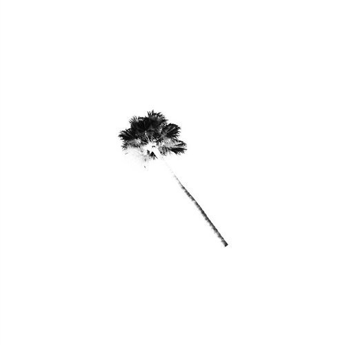 Black Atlass - Sacrifice (feat. Jessie Reyez)