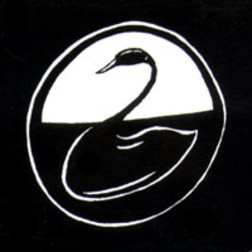 Black Swan Network - ii