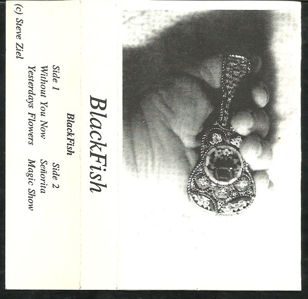 Blackfish - Bay of Islands