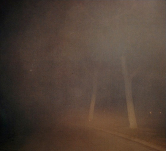 Blackwindom - V