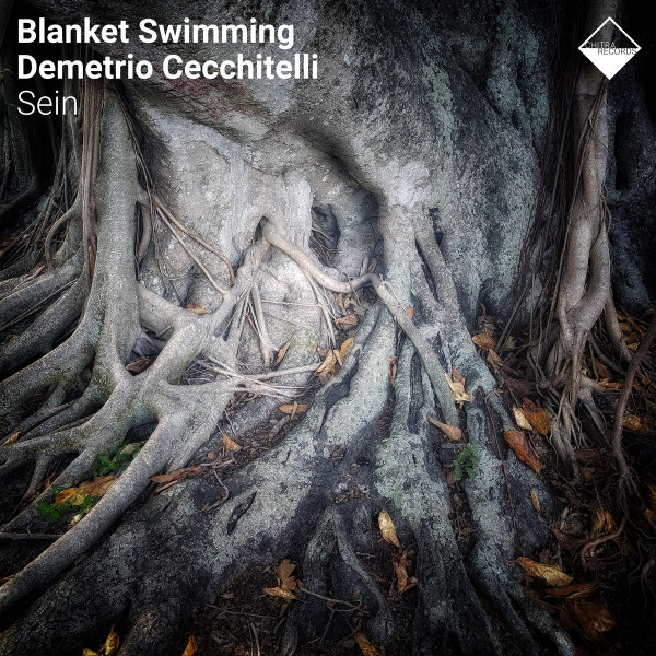 Blanket Swimming & Demetrio Cecchitelli - Surroundings Fall Away