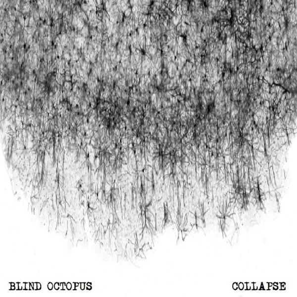 Blind Octopus - II
