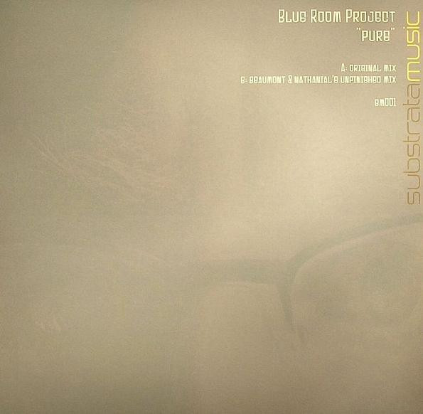 Blue Room Project - I Really Want U Remix
