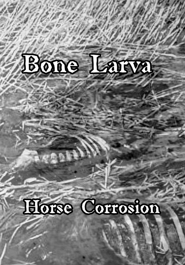 Bone Larva - Kopru Urine