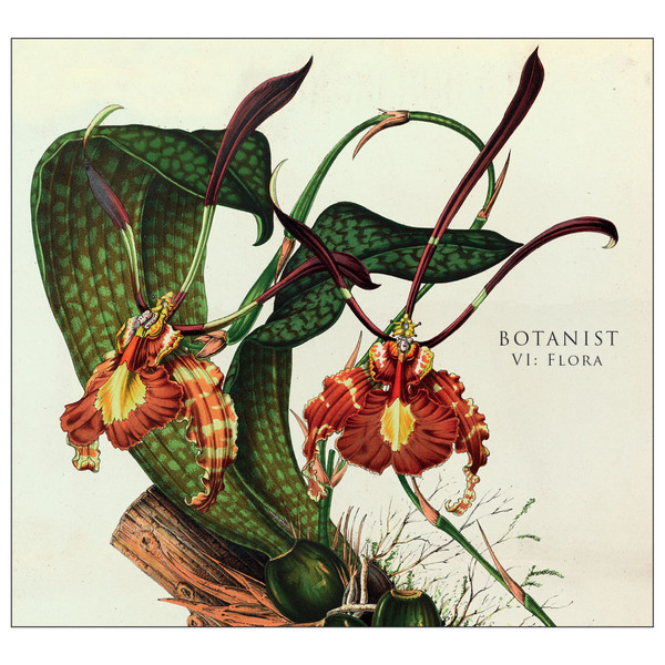 Botanist - Stargazer