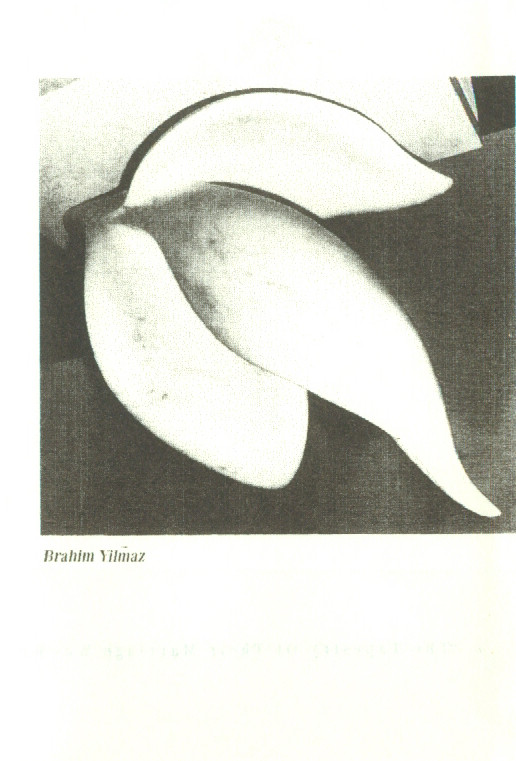 Brahim Yilmaz - Takotsubo
