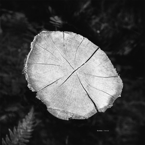 Brambles - To Speak of Solitude