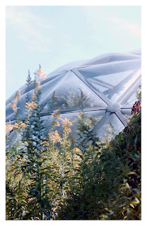 Brett Naucke - Rose Water