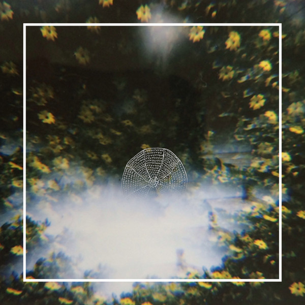 Brian Griffith - Bugs On The Ground
