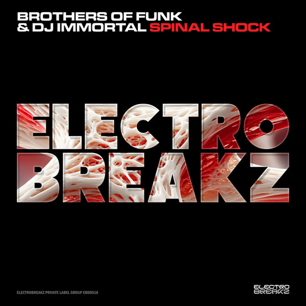 Brothers Immortal - It's the Third Song, Let's Dance.