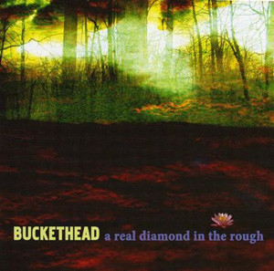 Buckethead - Big Sur Moon