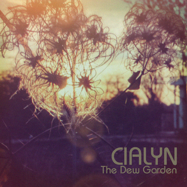 CIALYN - Winds Reader