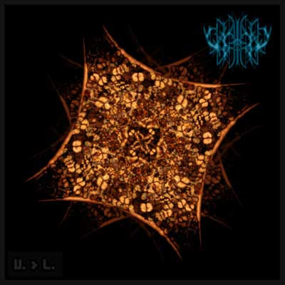 Cachexy - Slough