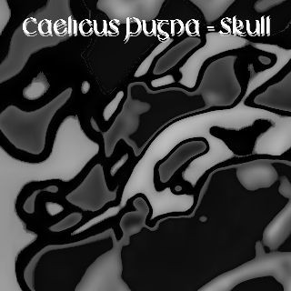 Caelicus Pugna - this is not a test, it is a very marvelous piece of machinery