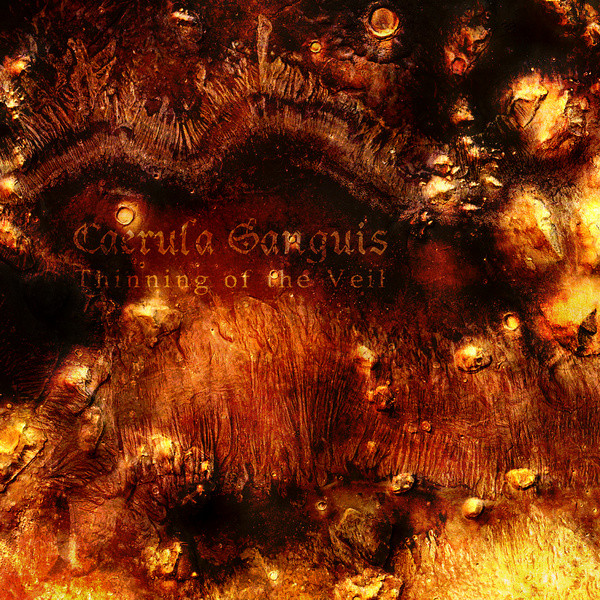 Caerula Sanguis - The Desolate House
