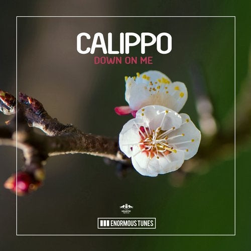 Calippo - What Is House
